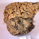 Imagen para el artículo titulado Finalmente sabemos por qué este cerebro humano de 2.600 años de antigüedad está tan bien conservado